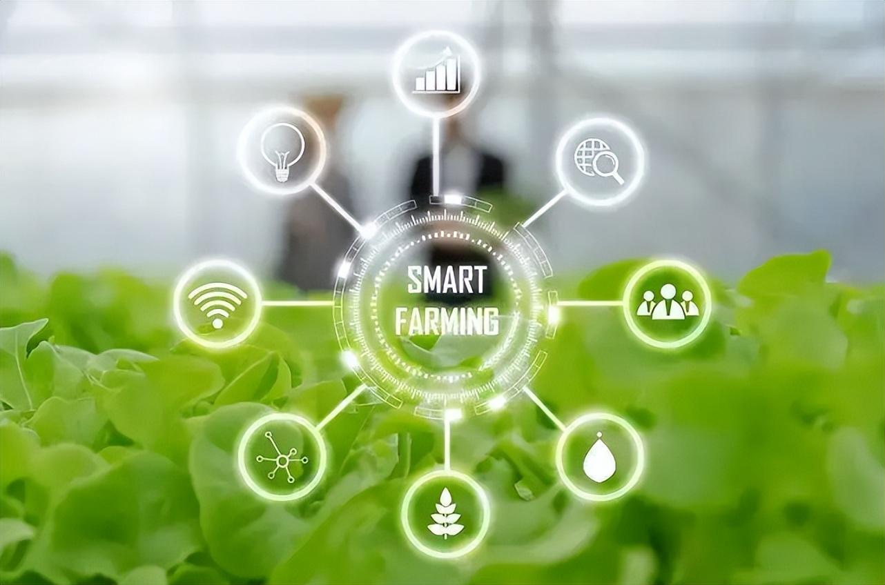 智慧農(nóng)業(yè)物聯(lián)網(wǎng)的未來在哪里？