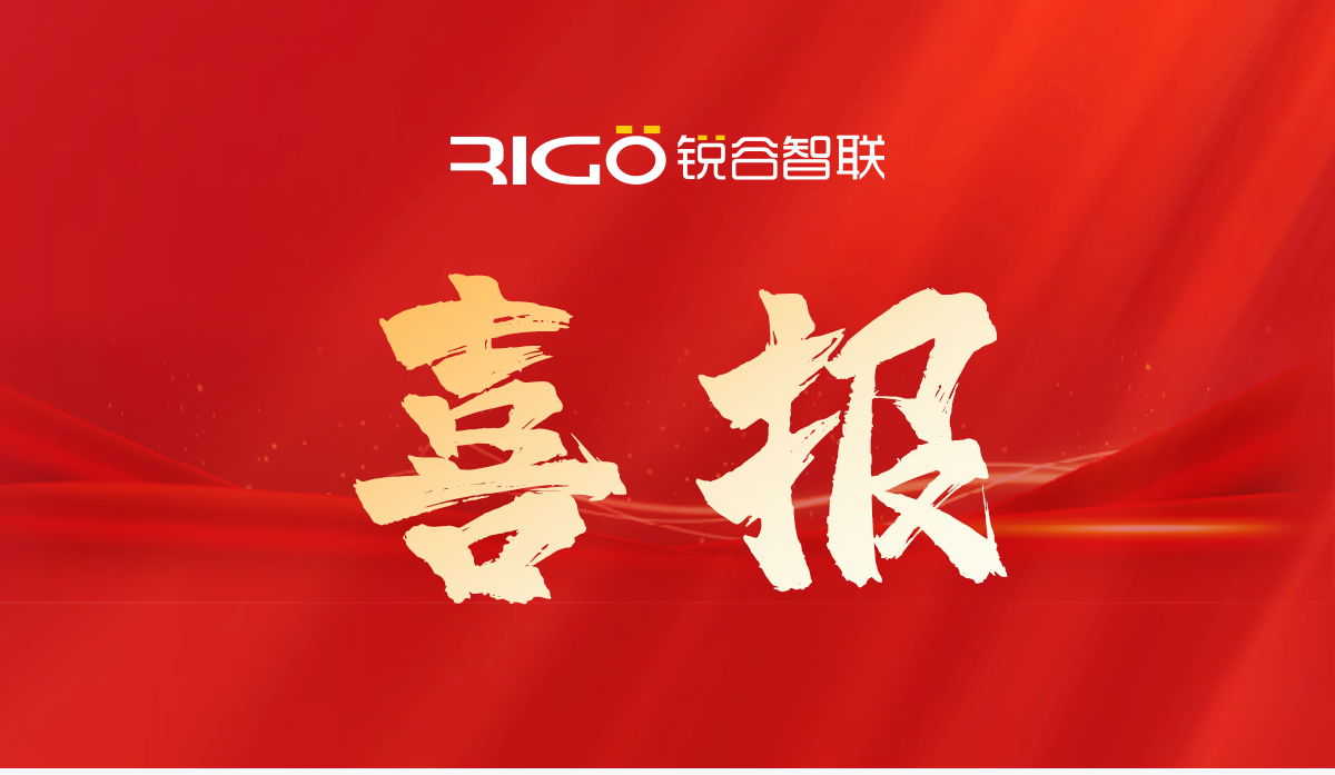 銳谷智聯(lián)喜獲2024年第二批軟件和新興數(shù)字產(chǎn)業(yè)政策資金支持！